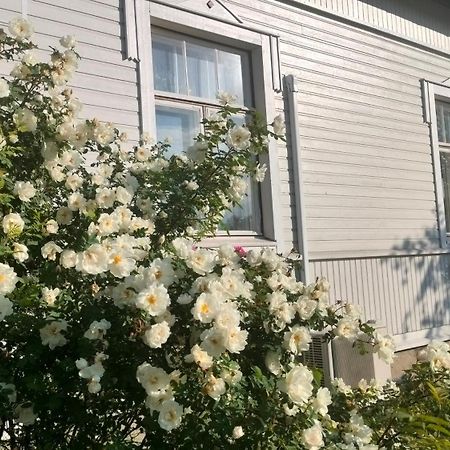 Viinikan Taehti Lemmikkiystaevaellinen Kotimajoitus تامبير المظهر الخارجي الصورة