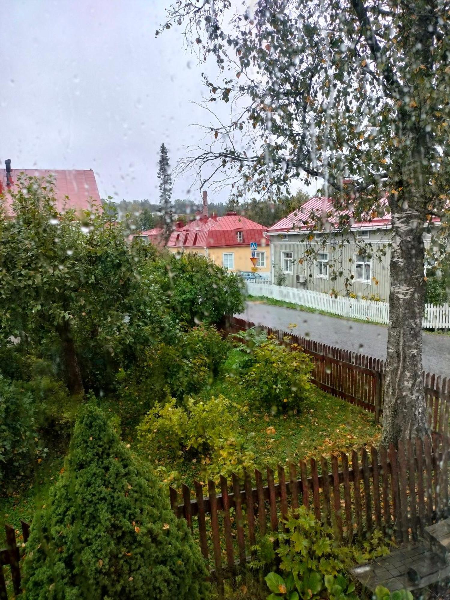 Viinikan Taehti Lemmikkiystaevaellinen Kotimajoitus تامبير المظهر الخارجي الصورة